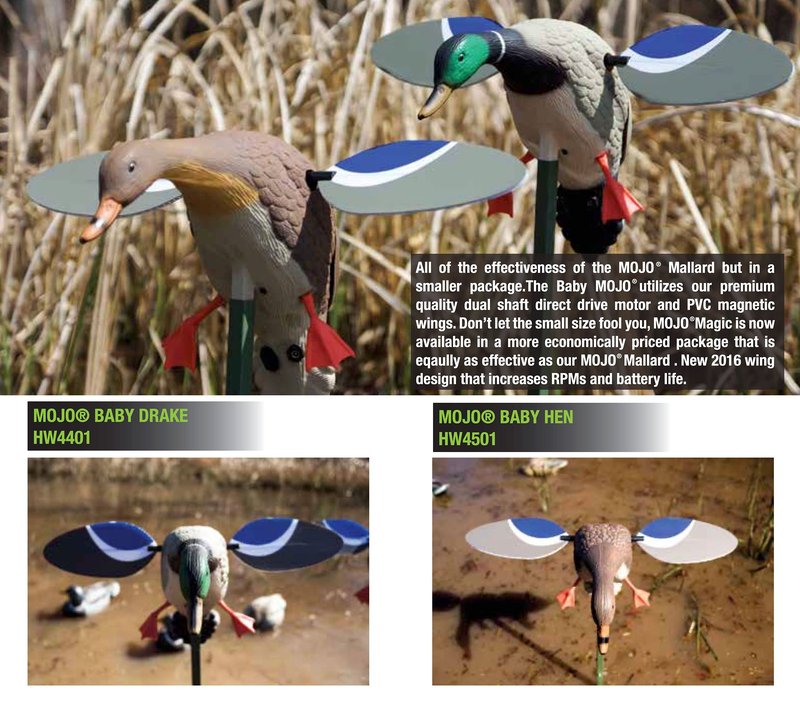 MOJO Outdoors Baby Mallard Drake Spinning Wing Decoy - Premium Waterfowl and Duck Hunting Decoy