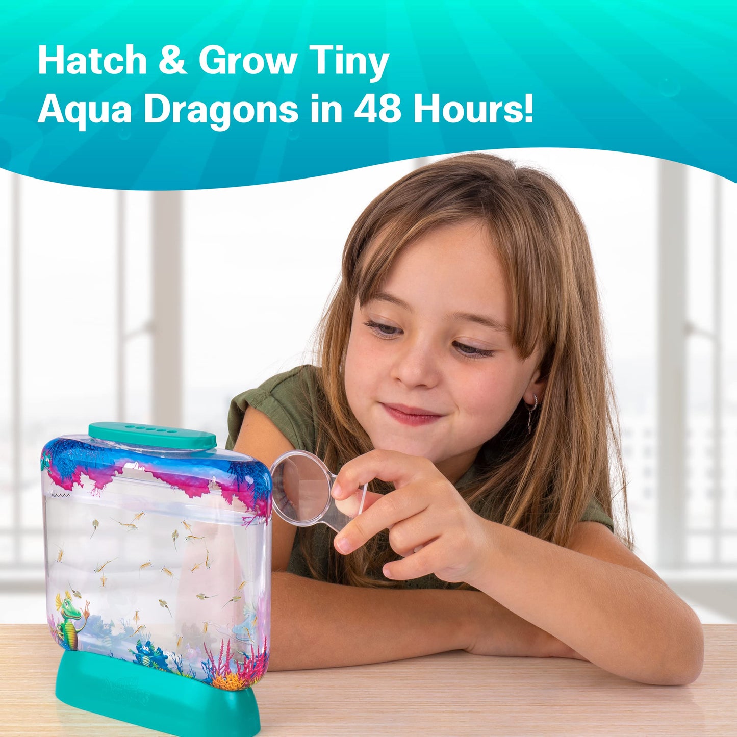 Aqua Dragons Underwater World Aquarium