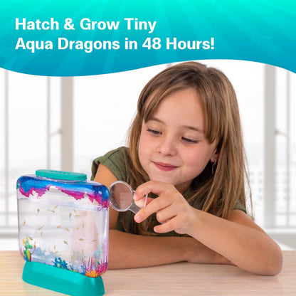 Aqua Dragons Underwater World Aquarium