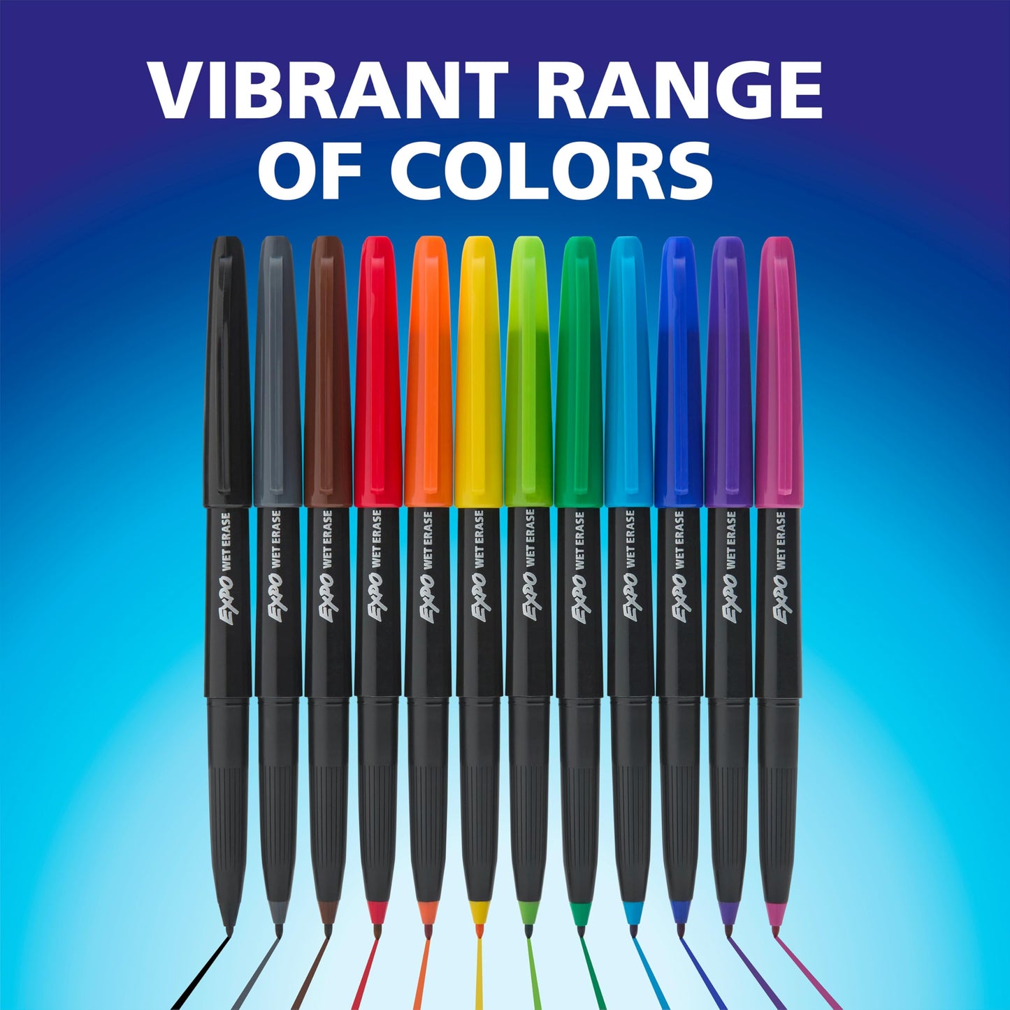 EXPO Visa Vis Wet Erase Markers Fine Point Black 12-Pack Ideal for Classroom and Homeschool Use
