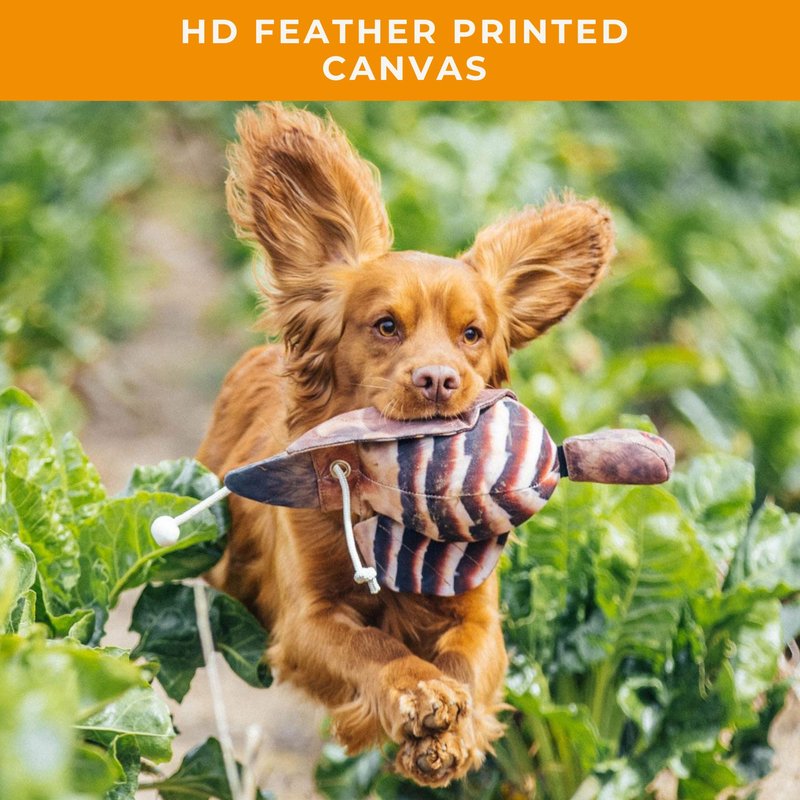 The Original Clone® Realistic Game Bird Dog Training Dummy - Canvas Dummy with HD Feather Print for Gundog & Puppy Training - Dog Hunting Equipment (Hen Pheasant Launcher Dummy)