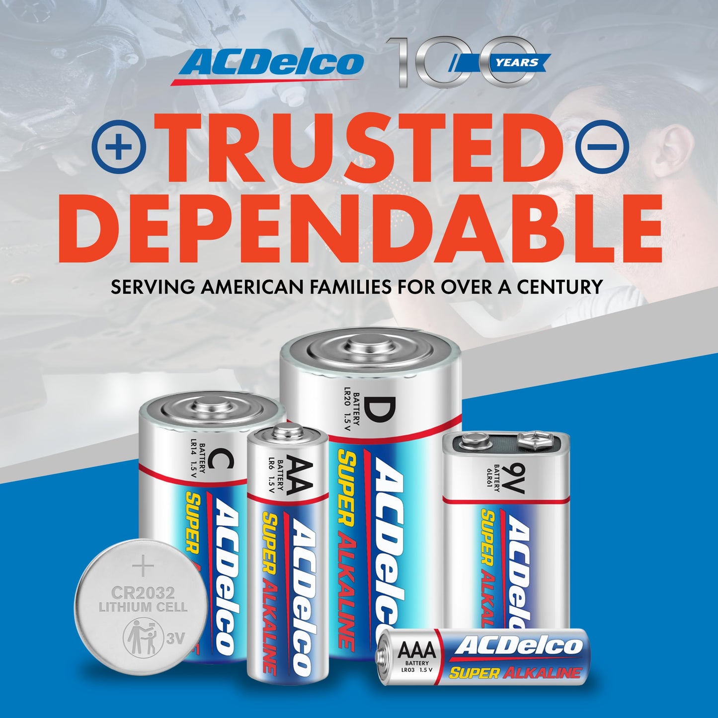 ACDelco 100-Count AA Batteries, Maximum Power Super Alkaline Battery, 10-Year Shelf Life, Reclosable Packaging
