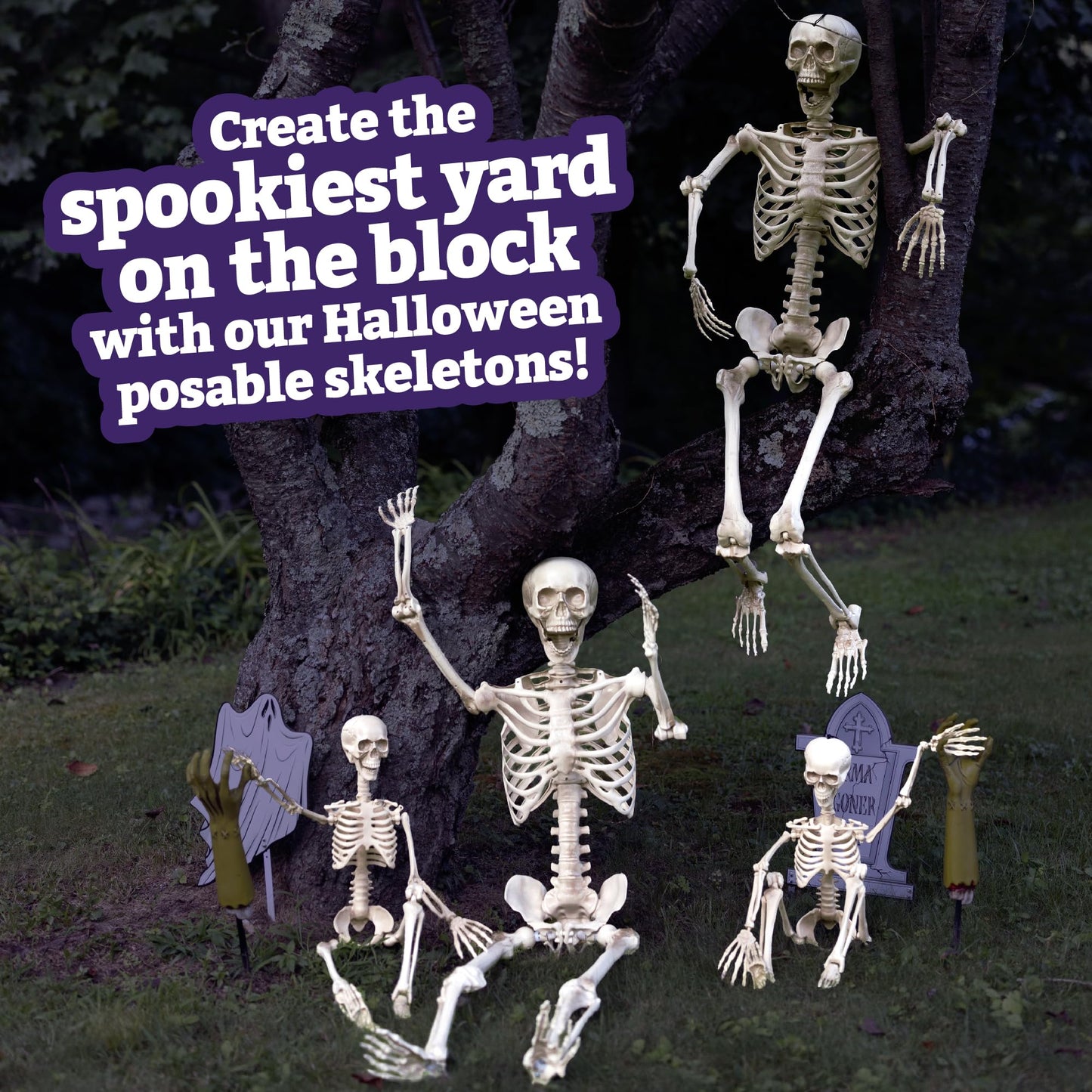 Posable Life Size Human Skeleton Family 4pk- 2 Adult (5'4") & 2 Children (2')- Halloween Prop Indoor Outdoor Decorations w Bending Articulated Bones