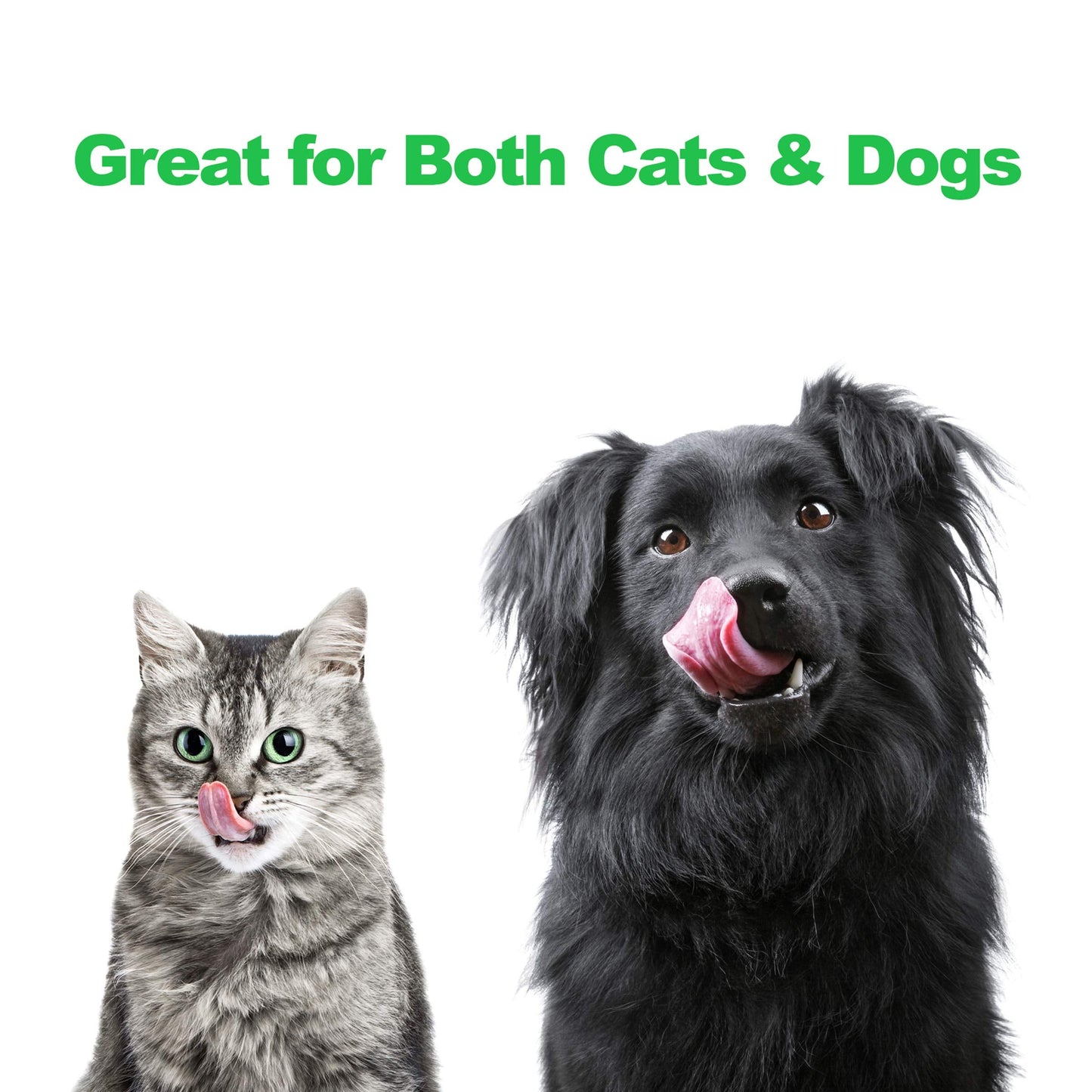 PETMAKER Elevated Dog and Cat Bowls - Decorative 6.5-Inch-Tall Raised Stand with 2 Stainless-Steel Food and Water Bowls - Hold 40oz Each by (Black)
