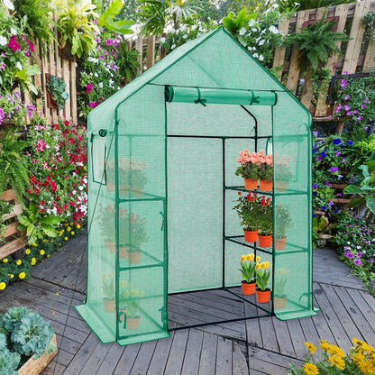 EAGLE PEAK Walk in 3-Tier Greenhouse with Wire Shelves, Portable Indoor and Outdoor Green House with Roll-Up Zippered Door & 2 Roll Up Side Windows, 4 Shelves, 61"x28"x79", Clear/Green PE Cover