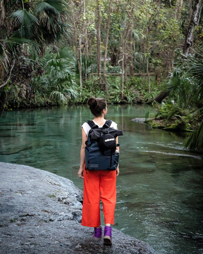 Cabeau Evolution Travel Neck Pillow Bag Compact Carrying Case, Compresses Pillow to Half its Original Size - Quick-Release Clasp Attaches to Luggage, Backpacks, and Purse