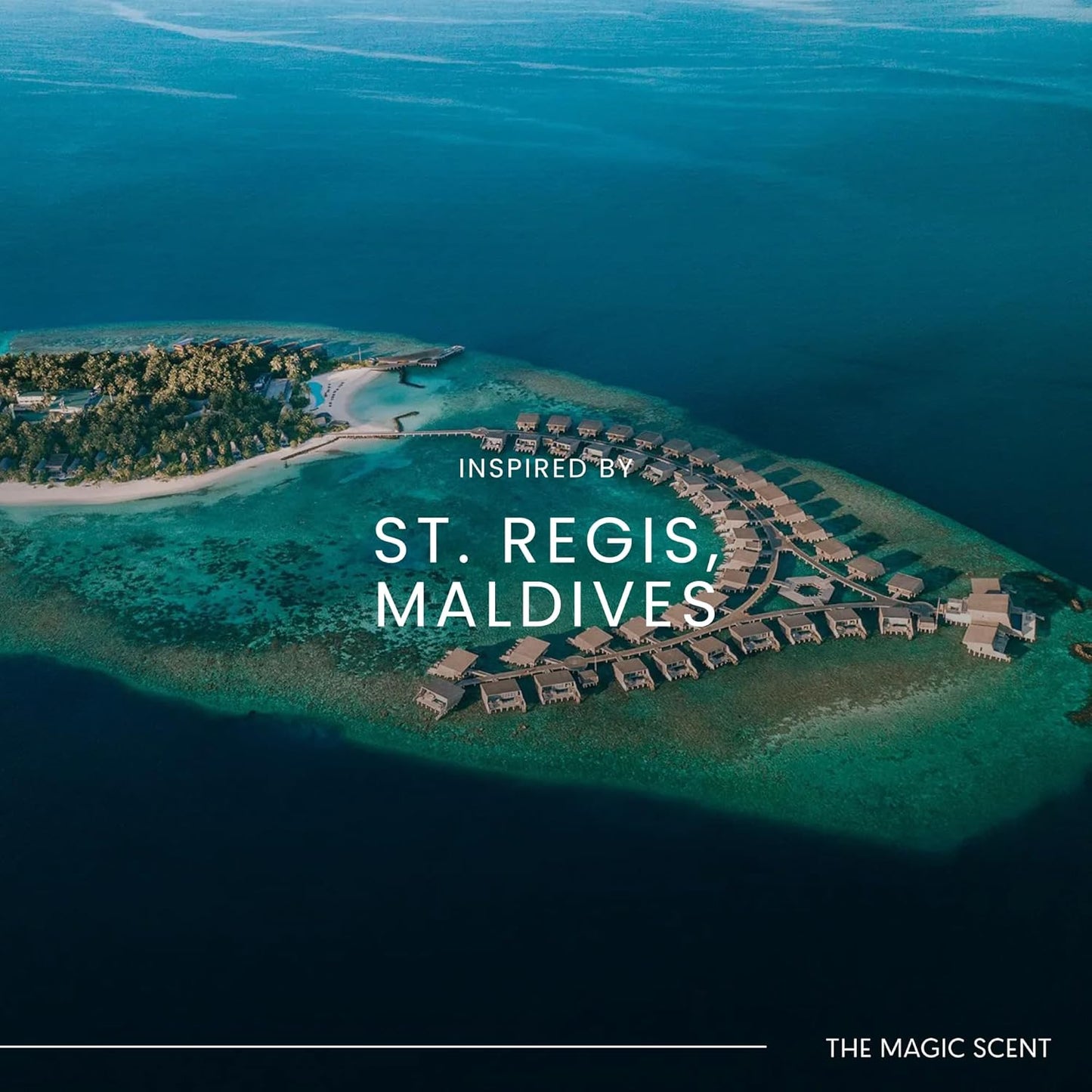 The Magic Scent Mandarin Blossom Diffuser Oil - Cold-Air & Ultrasonic Scented Oils for Diffuser Inspired by St. Regis Hotel, Maldives - Essentiala Oils for Diffusers Aromatherapy 10 ml