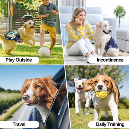 Washable Male Dog Diapers Reusable, Premium Belly Bands for Dogs, Pack of 3, High Absorbing Extra Extra Large Dog Pee Wraps for Puppy in Incontinence or Excitable Urination and Training(XXL)