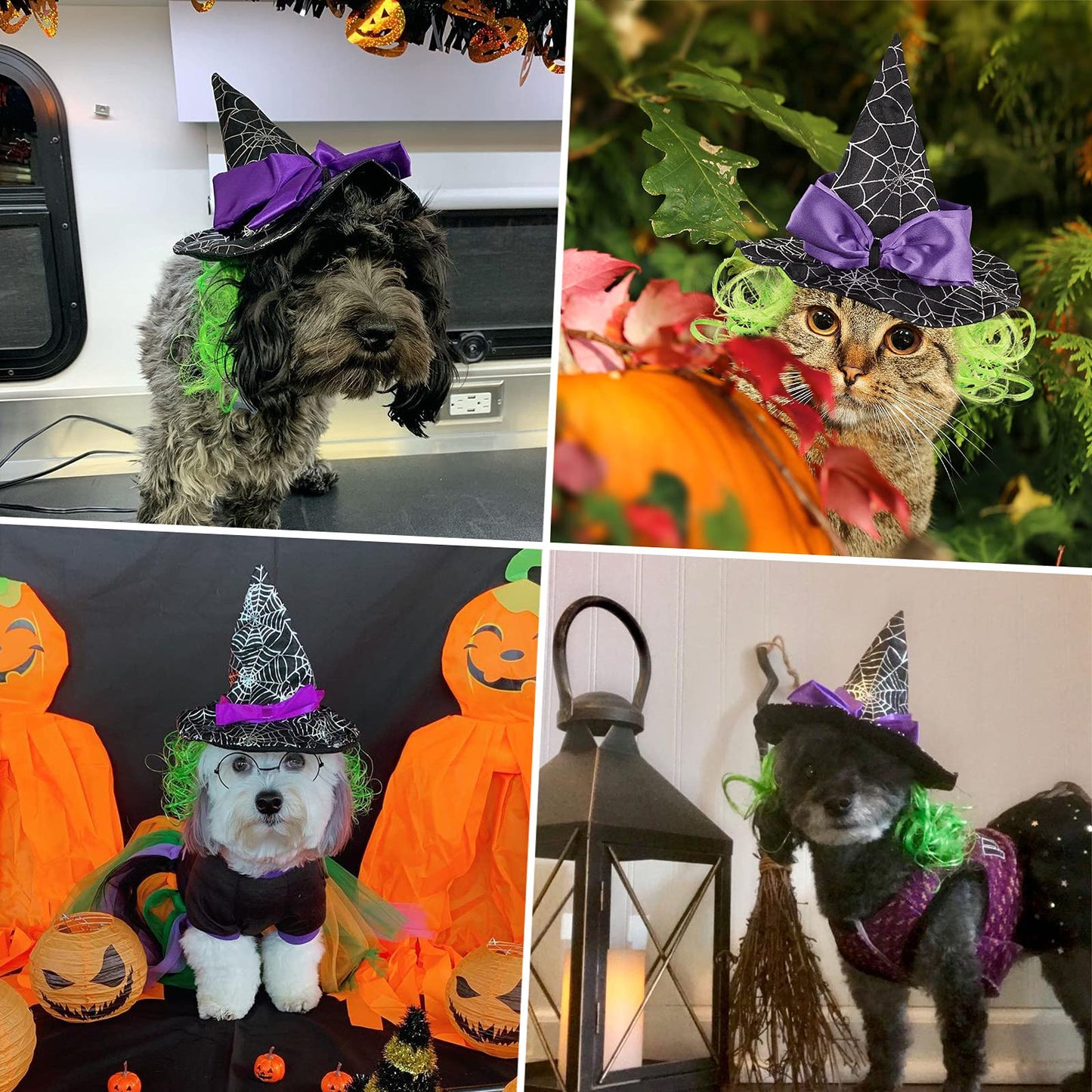 LESYPET Cat Halloween Costume Hat Dog Hat, Wizard Hat with Green Wig for Dog Cat Cosplay for Halloween, Christmas, Party