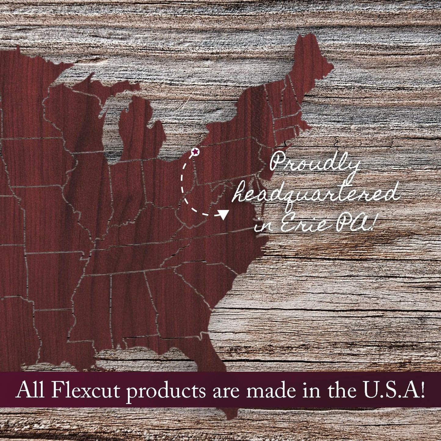 Flexcut Wood Carving Tools Set, 11 Piece SK107 | 10 High Carbon Steel Blades and Interchangeable ABS Handle Included