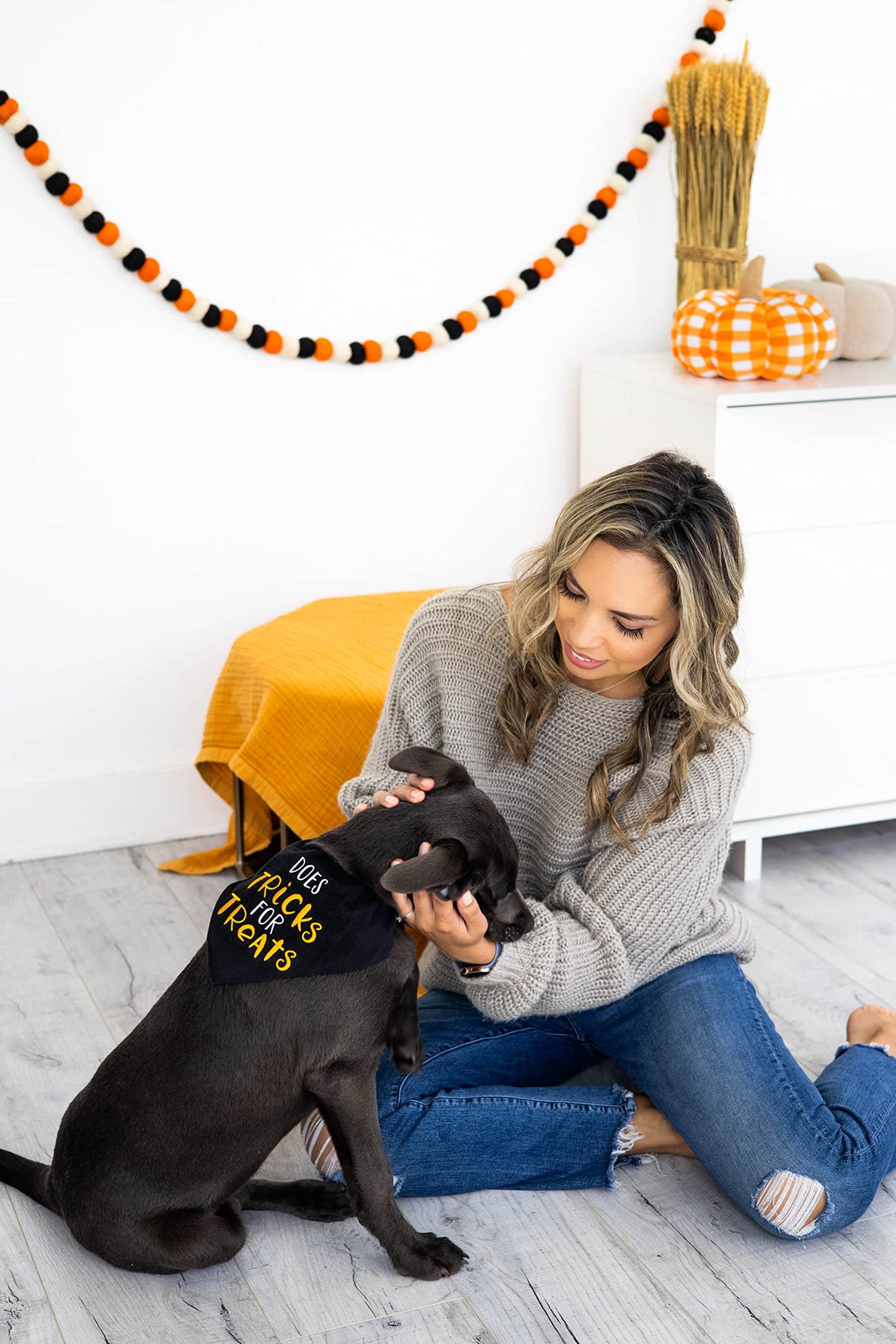 Pearhead Trick or Treat Dog Bandana, Black Halloween Pet Scarf, Slip-On Collar Accessory for Small Medium Pets, Cute Puppy Costume, Fall Seasonal Pet Apparel