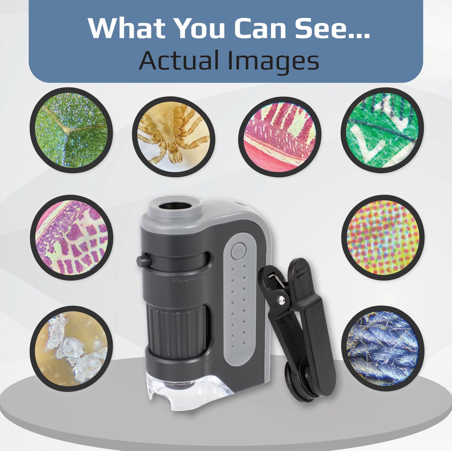 Carson MicroBrite Portable Digital Pocket Microscope for Kids or Adults, Accurate 60x-120x Zoom, Handheld Microscope with Phone Clip & Smartphone App (MM-350)