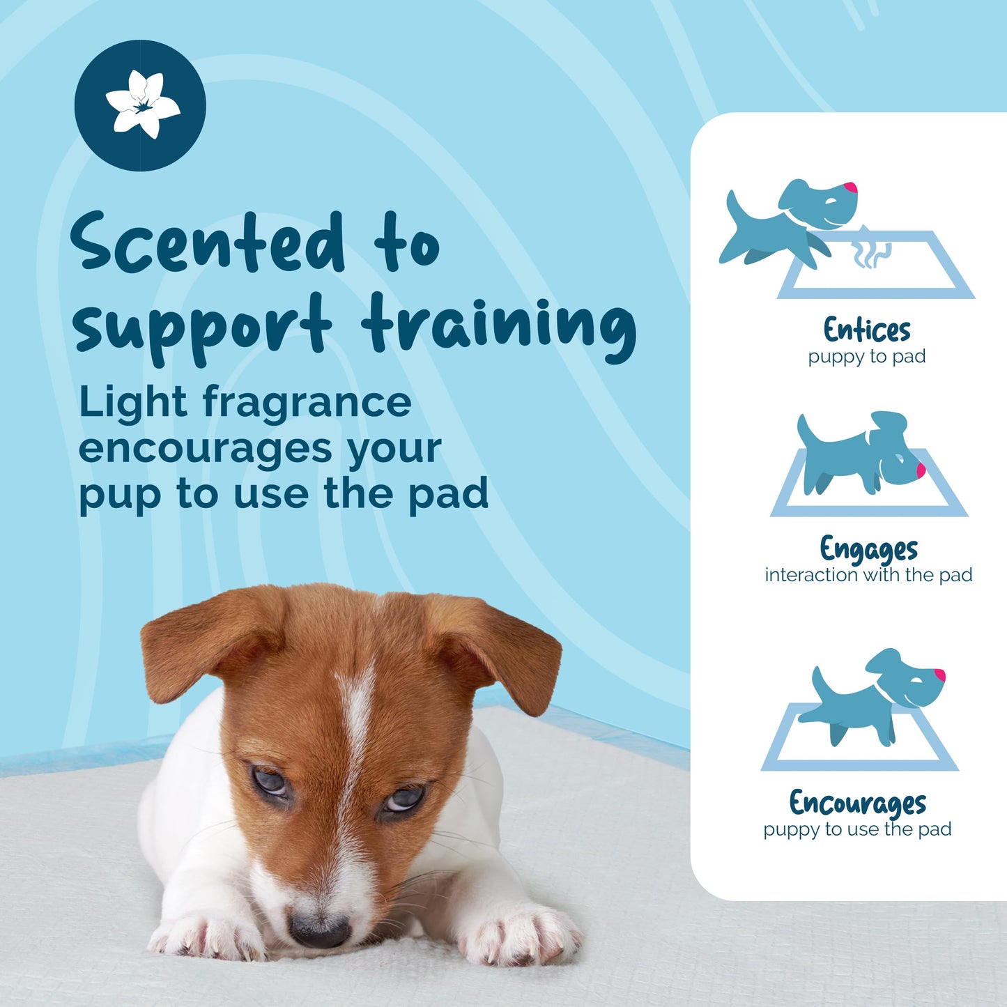 Petsentials Dog Toilet Training Pads - 105 Pack | Disposable & Super Absorbent Puppy Pee Pads | Strong & Tear-Resistant Pee Pads for Puppies - Potty Training Mats