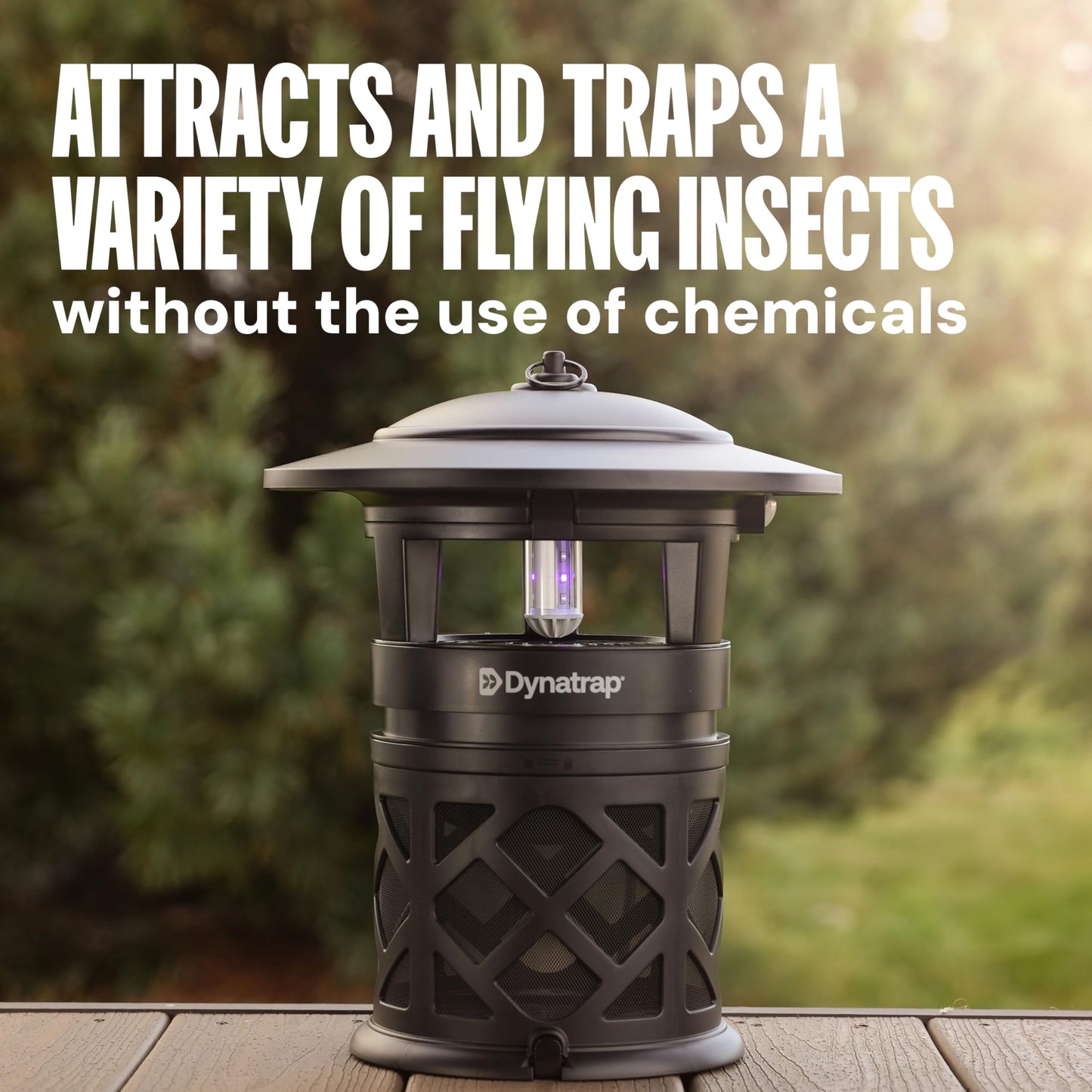 DynaTrap DT2030SR Fly Traps Outdoor - Mosquito & Flying Insect Killer for 1 Acre – Kills Flies, Gnats, Wasps - Bug Zapper Alternative - Black