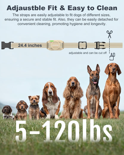 Jugbow Dog Shock Collar 2 Dogs (5-120Lbs) - 4200FT Dog Training Collar with Remote for Large Medium Small Dogs, Rechargeable Waterproof IPX8 E Collars with Beep (1-3) Vibration(1-3) Safe Static(0-99)