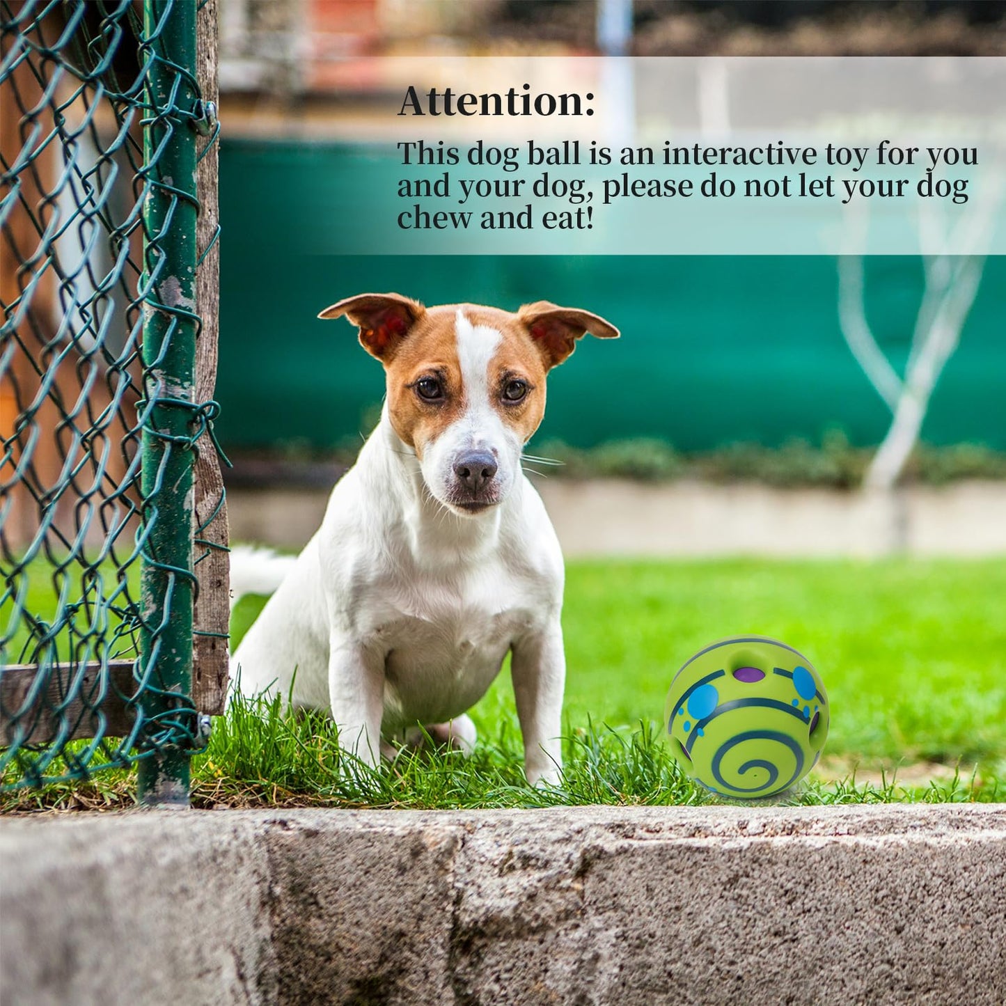 Yifugad Interactive Giggle Ball for Dog Squeaky Toy Keep Your Dog Happy All Day, Ball Toys for Large, Medium and Small Pet Cat Relieve Anxiety and Boredom
