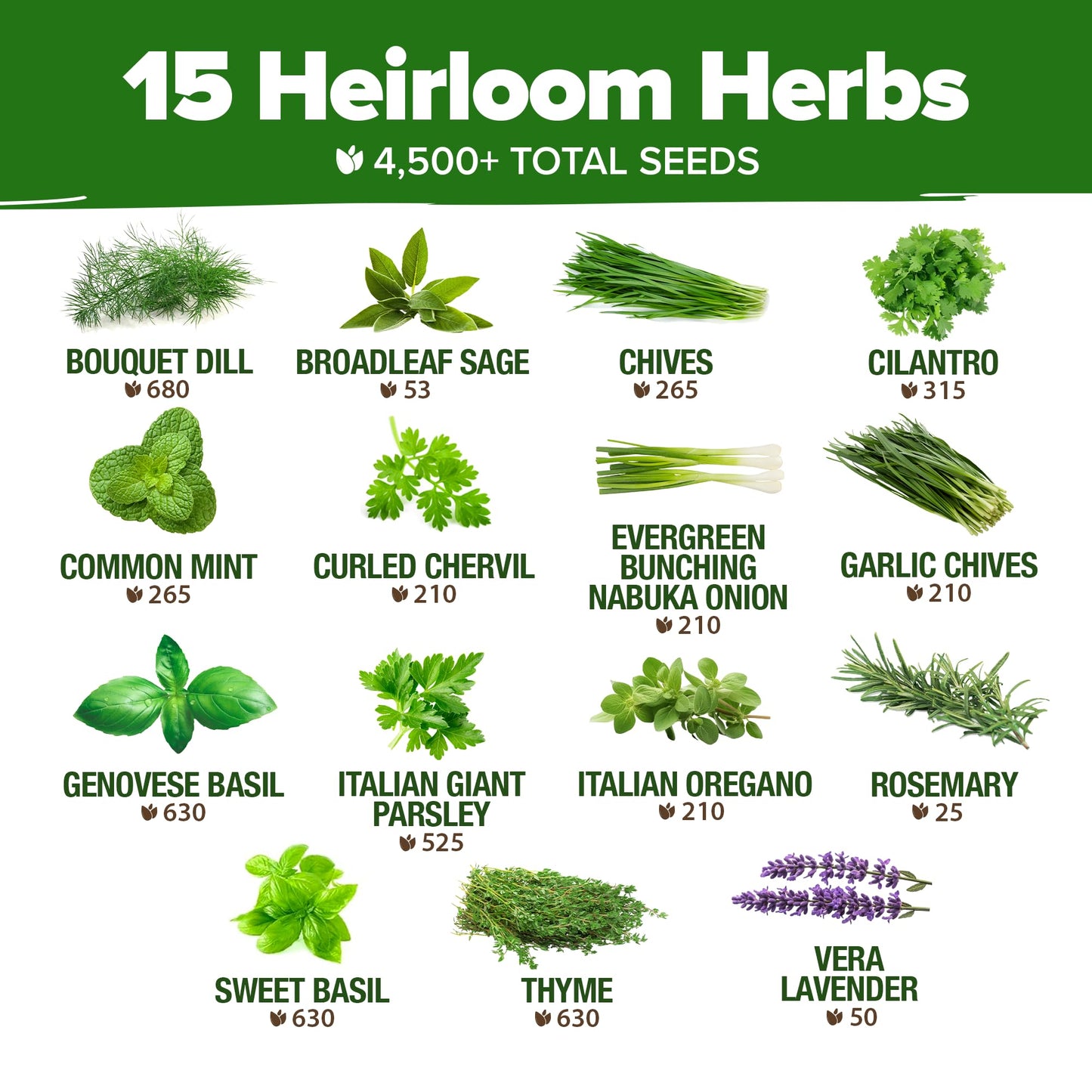 HOME GROWN 15 Herb Seeds for Planting 4,500+ Non-GMO Heirloom Seeds | Extra Large Variety Pack Herb Kit – Indoor Outdoor & Hydroponic | Culinary Seed Set | Grow Your Own Herbs | Gardening Gift