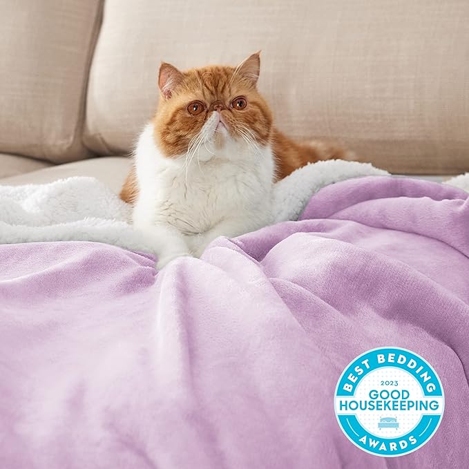 Bedsure GentleSoft Sherpa Fleece Blankets Queen Size for Bed - Thick and Warm Throw for Girls, Soft Fuzzy Plush Queen Blanket for Winter, Lilac, 90x90 Inches