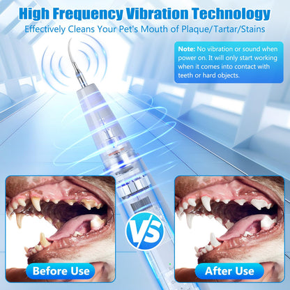 Dog Tartar Remover for Teeth, Dog Teeth Cleaning Kit with LED Light and 5 Modes, Teeth Cleaner for Dogs and Cats,White