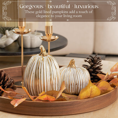 DN DECONATION White and Gold Fall Pumpkin Decorations Thanksgiving Table Centerpieces, 2 Pcs Artificial Luxury Resin Pumpkins Figurines for Decorating, Autumn Harvest Fall Home Decor Shelf Mantel
