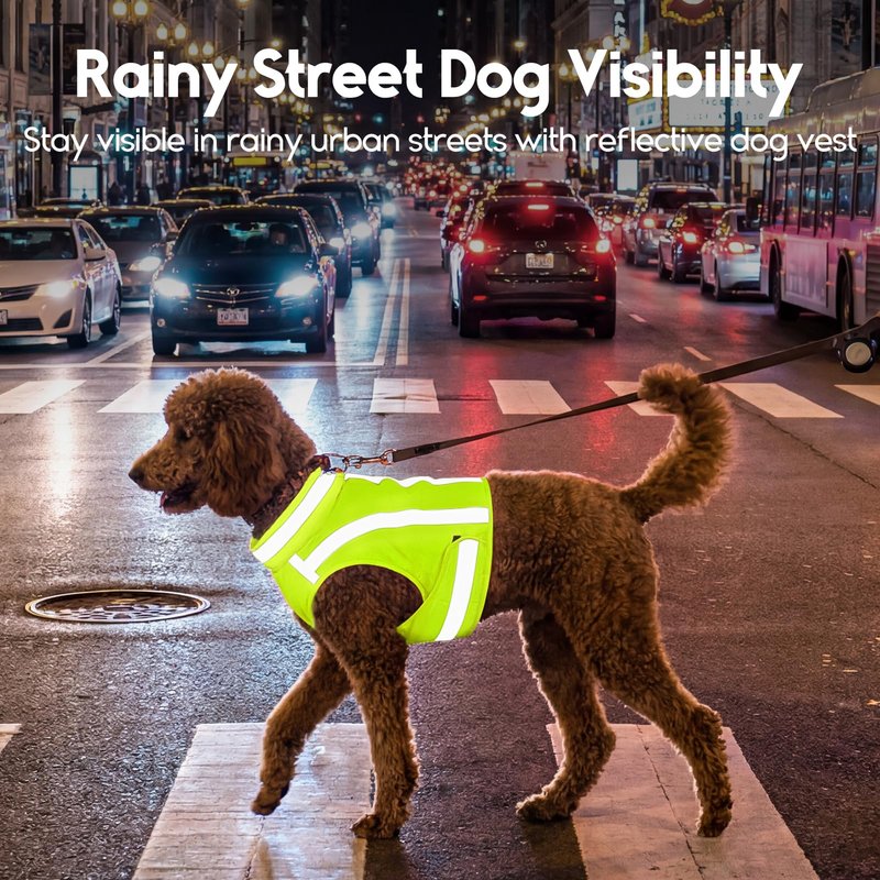 ASENKU Reflective Dog Vest, High Visibility Adjustable Hunting Vest for Pets, Dog Safety Vest for Night Walking and Outdoor Use, Green, S