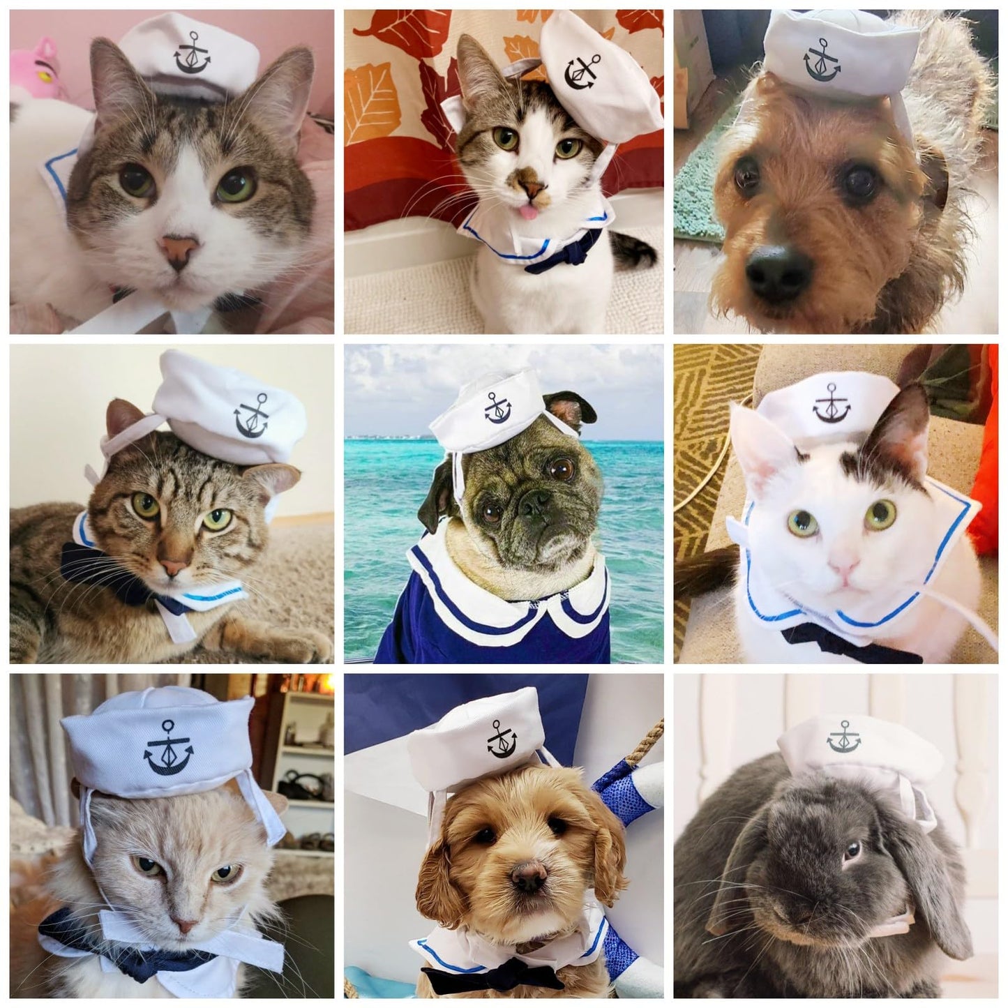 NAMSAN Pet Sailor Costume for Cats Small Dogs, Cat Halloween Costumes, Small Dog Sailor Outfit, Cat Sailors Hat with Tie Collar, Pet Navy Costume for Kitten Puppy Statue Toys Decoration