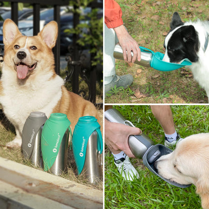 LumoLeaf Portable Dog Water Bottles 800ml, Stainless Steel Pet Travel Water Bottle Dispenser for Walking, Hiking and Outdoor, Portable Water Bowl for Large Dogs (Blue)
