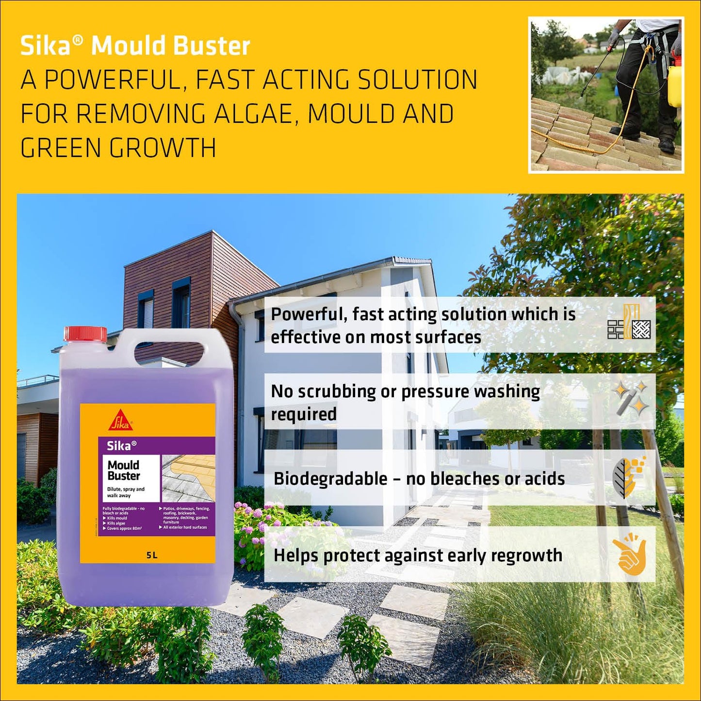 Sika Mould Buster 5Lt