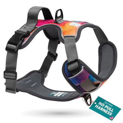 Embark Adventure Dog Harness, Reflective Trim No Pull Harness for Medium Sized Dog - Military Grade Nylon, Front Clip with Gel Lined Handle. Soft & Padded Puppy
