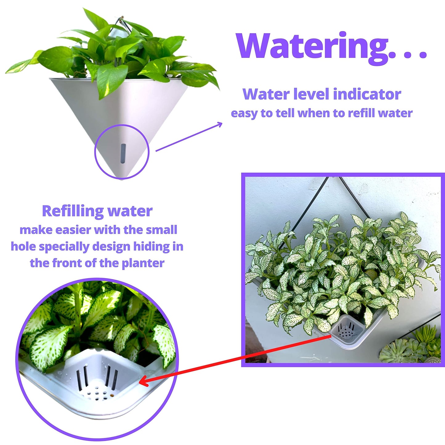 LaLaGreen Bundle - 12" x 6 Pack Gray Large Self Watering Wall Hanging Planters for Indoor Plants Gray Wall Mount Triangle Geometric Flower Vase Pot Black Metal Hanger Living Wall Decor
