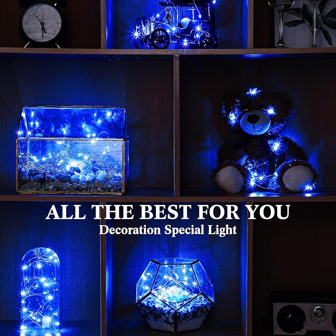 Hortsun 100 Packs Fairy Lights Battery Operated 3 Speed Modes, 7 Ft/ 2 M 20 LED Battery String Mini Waterproof Wire Twinkle Lights Bulk for Wedding Party Birthday Vases (Blue Light)