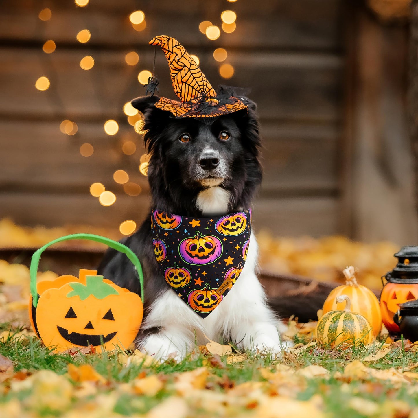THLOH Halloween Dog Bandanas - 2 Pack Reversible Pumpkin and Bat Pet Scarf for Boys and Girls | Fall Dog Bibs | Premium Durable Fabric | Holiday Dog Bandana for Medium and Large Dogs (Large)