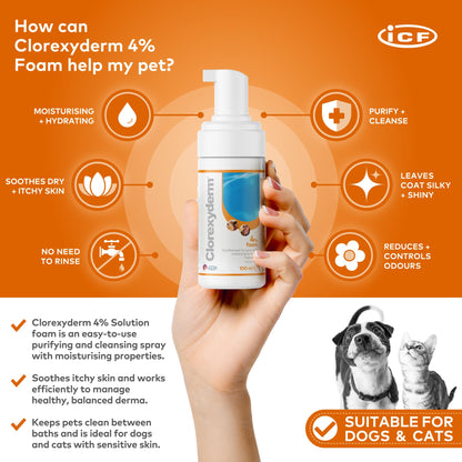 Clorexyderm 4% Foam Mousse - Dry Shampoo for Dogs & Cats - Antibacterial & Antifungal - Dry Itchy Skin Relief – Moisturises, Soothes & Softens Skin & Coat - Easy Alternative to Wet Bathing - 100 ml