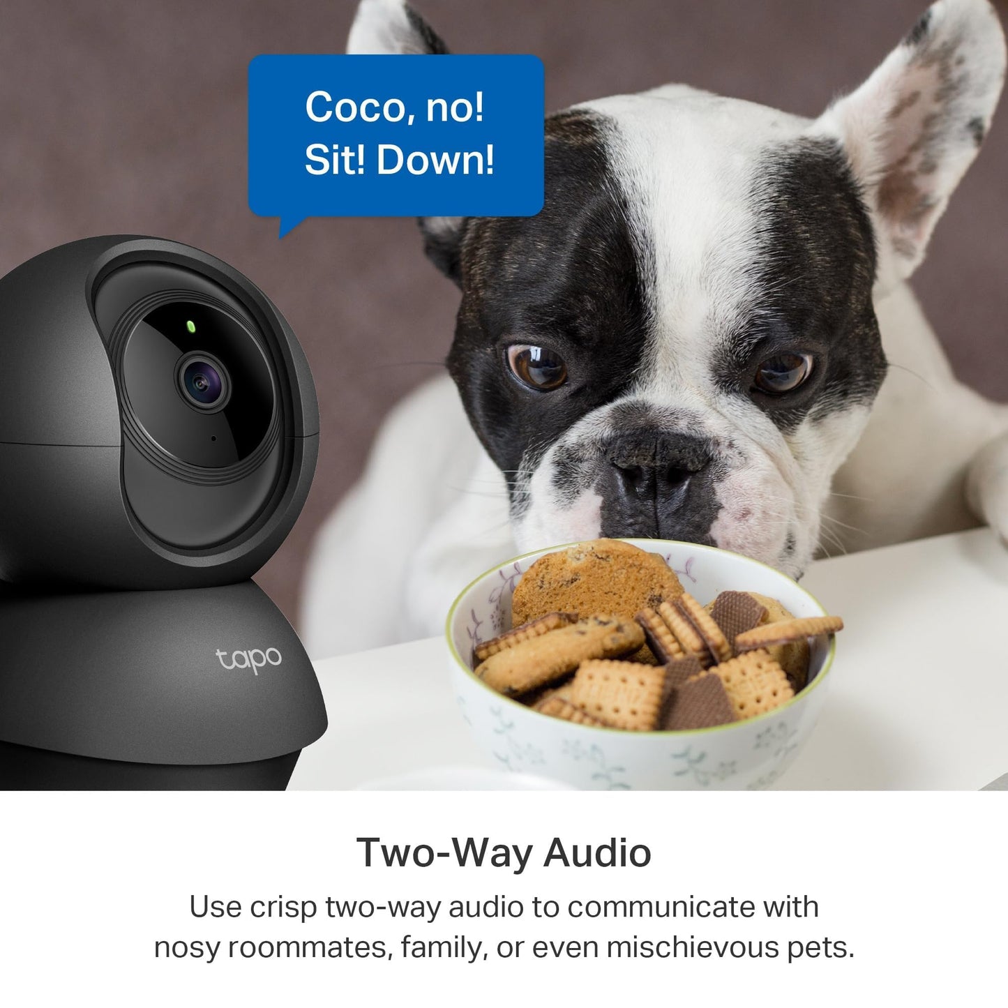 Tapo C211 2K 3MP Pan/Tilt Indoor Camera House Security Camera, WiFi Camera, No Monthly Fee, AI Detection, Dog Camera, Baby Camera Monitor, CCTV, 360° View, Night Vision, Works with Alexa & Google