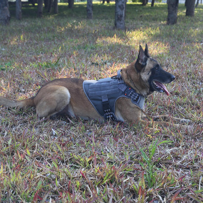 ICEFANG Tactical Dog Harness,Large Size, 2X Metal Buckle,Working Dog MOLLE Vest with Handle,No Pulling Front Leash Clip,Hook and Loop Panel