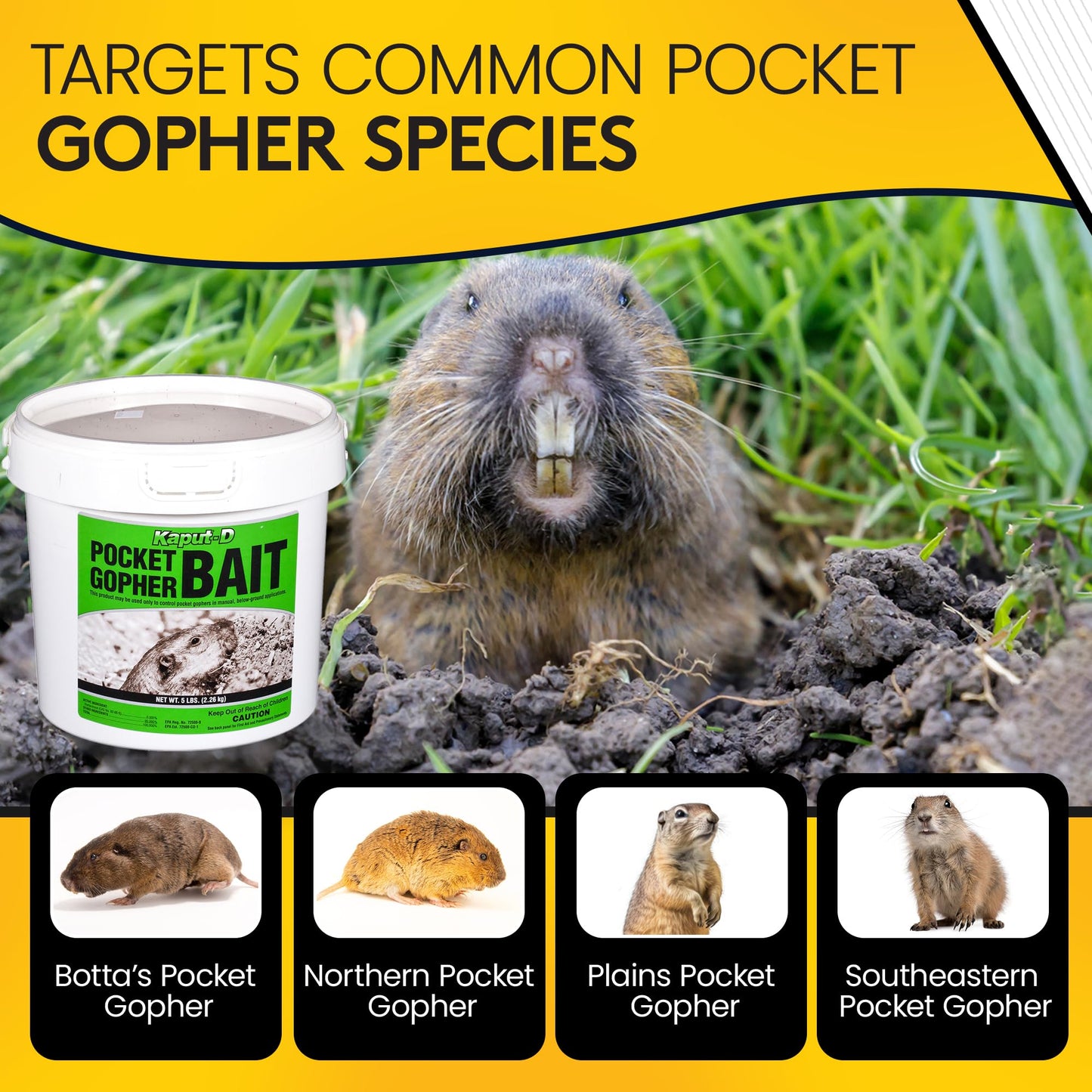 Kaput-D Pocket Gopher Bait - Ready-to-Use Wheat Grains for Effective Rodent Bait, Perfect for Residential & Agricultural Use - Diphacinone Formula for Lawn, Turf & Crop Areas (5 lbs)