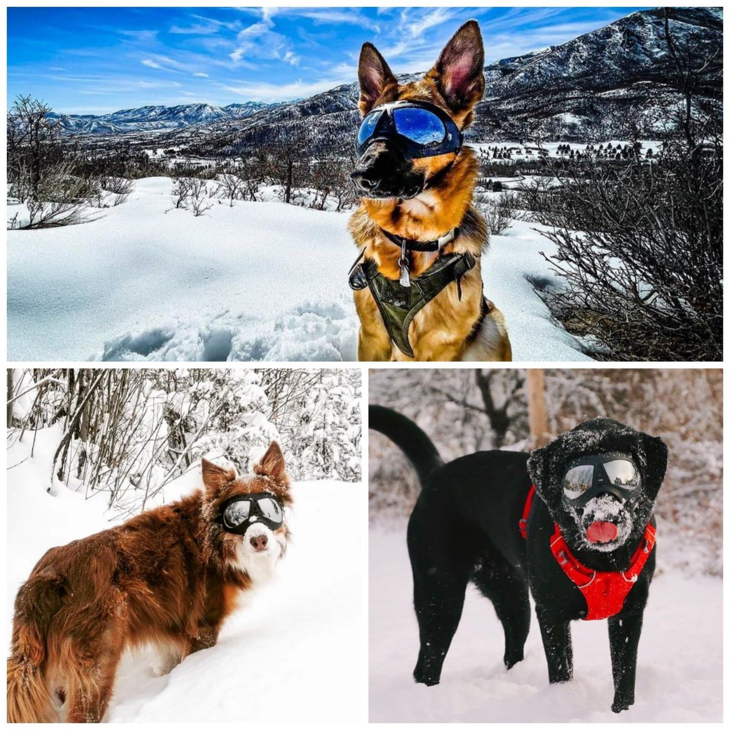 Namsan Dog Goggles Medium-Large Dog Anti-UV Sunglasses Windproof Snowproof Soft Frame Glasses for Long Snout Dogs Eyes Protection, Black