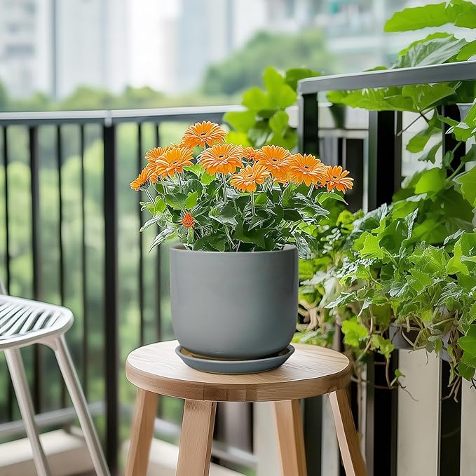 Indoor Planter 7 Inch - Round Ceramic Plant Pot for Cactus Orchid Plants with Drainage Hole and Saucer, Home Outdoor Patio Office Decor, Gray