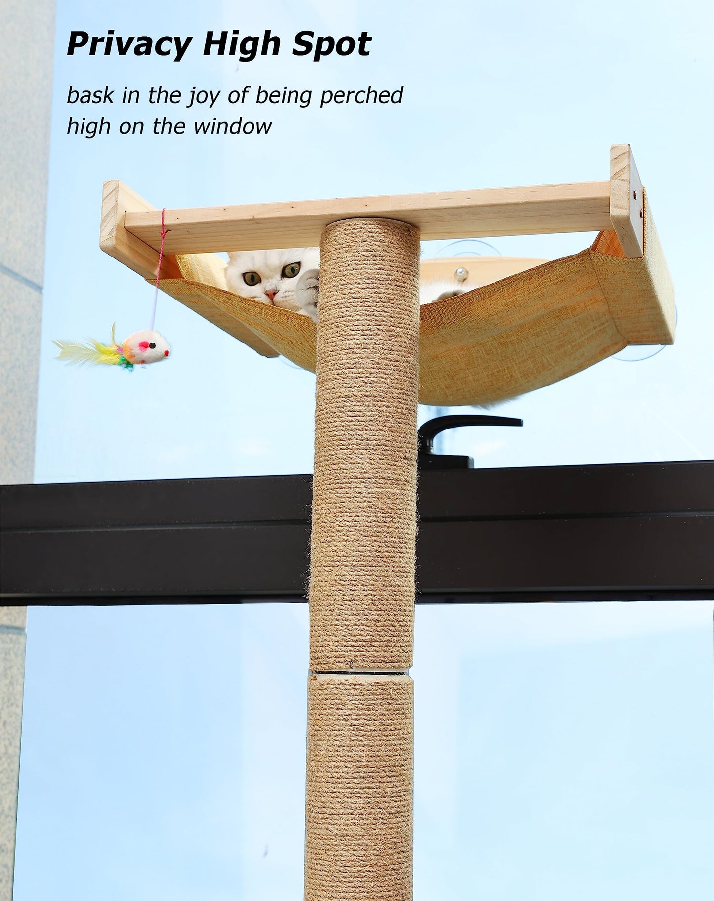 Cat Window Perch with Tall Scratching Posts, Inside 46" Climbing Tree Hammmock Mounted with Suction Cups for Sleeping,Playing and Watching Birds