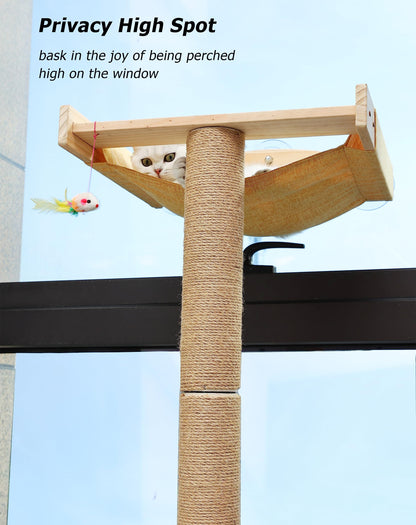 Cat Window Perch with Tall Scratching Posts, Inside 46" Climbing Tree Hammmock Mounted with Suction Cups for Sleeping,Playing and Watching Birds