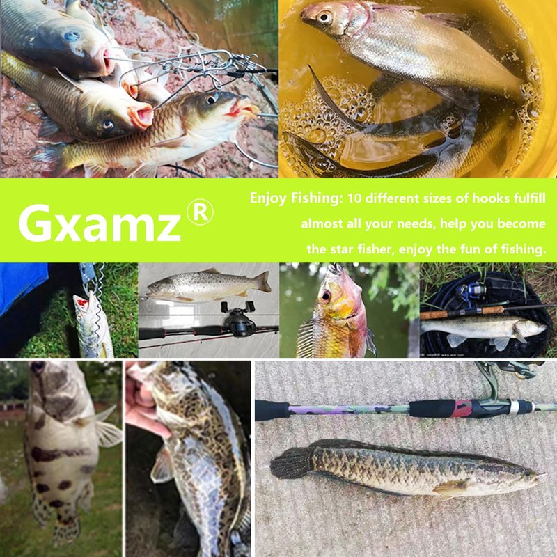 Gxamz 1000pcs 600pcs 300pcs Small Fish Hooks for Freshwater, 10 Specifications of Trout Fishing Hook Set (1000pcs, Black)