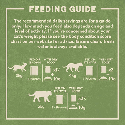 Harringtons Complete Wet Pouch Grain Free Hypoallergenic Adult Cat Food Mixed in Jelly Pack 40x85g - Beef, Chicken, Salmon & Tuna- Making Mealtimes Meatier