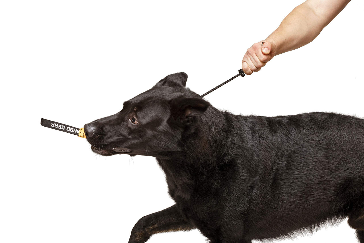 DINGO GEAR Choke Collar For Dog Training Handmade of Cord with A Limiter, Waterproof Black S04059, S