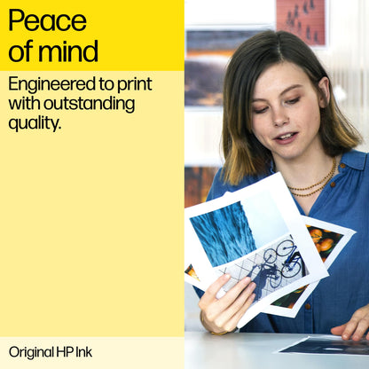 HP X4D37AE 302 Original Ink Cartridges, Black and Tri-color, 2 Count (Pack of 1)