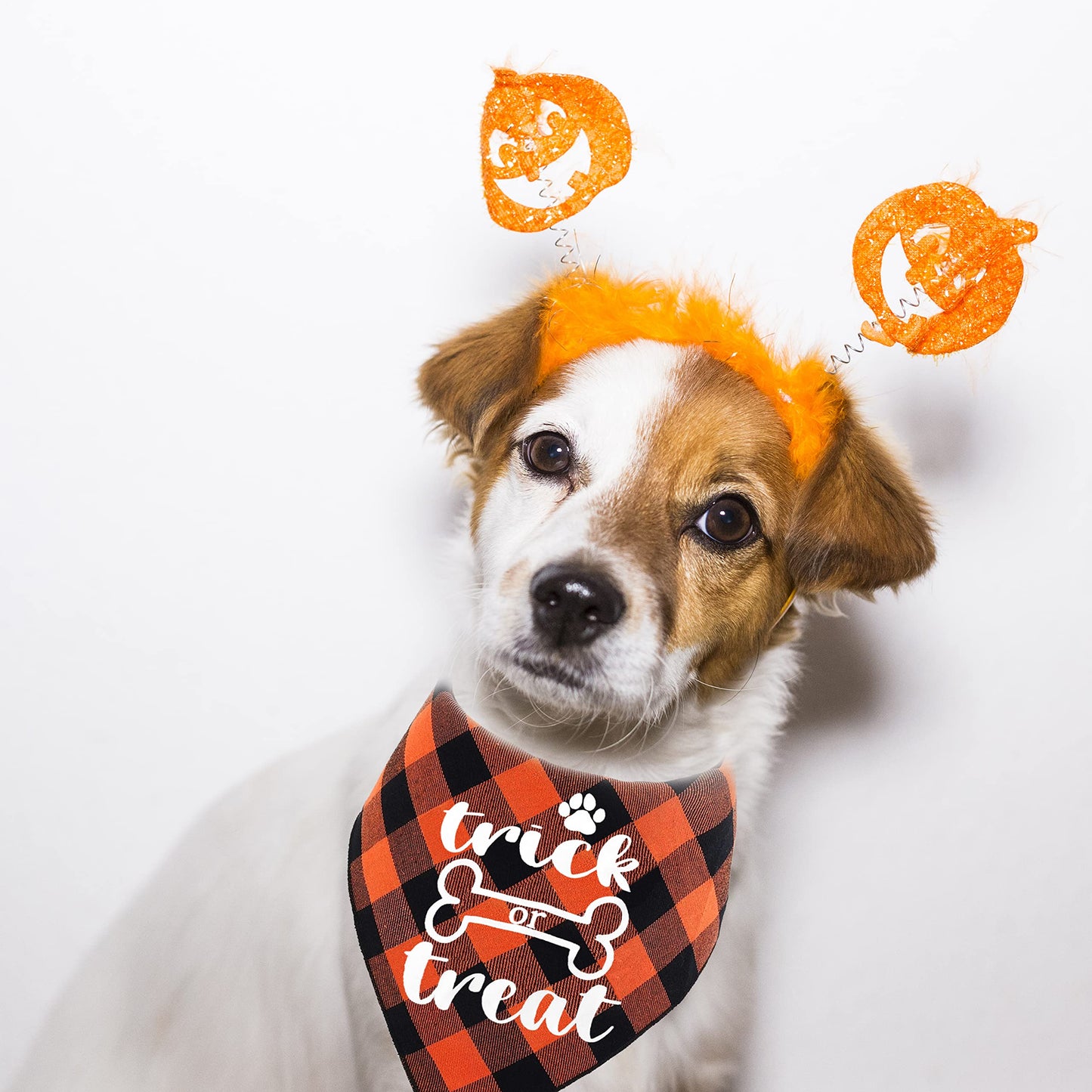 Halloween Dog Bandana, 2 Pack Holiday Cat Buffalo Halloween bib for Small Medium Large Dogs Pets Puppies (Small)