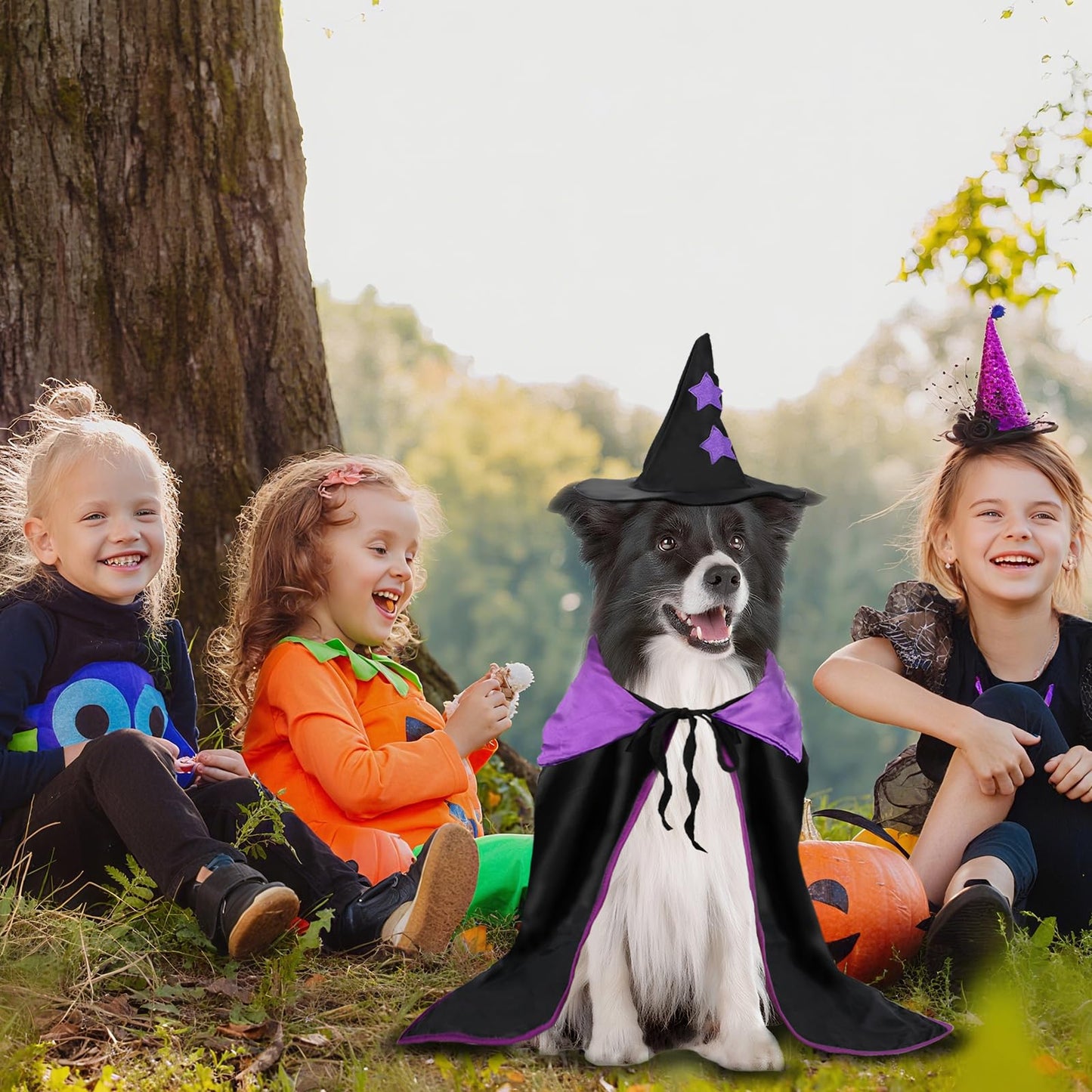 Rypet Halloween Dog Witch Costume, Dog Halloween Costumes Set with Cloak and Star Hat, Dogs Witches Cape for Large and Medium Dogs, Pet Outfit for Halloween Party Magician and Witch Cosplay XL