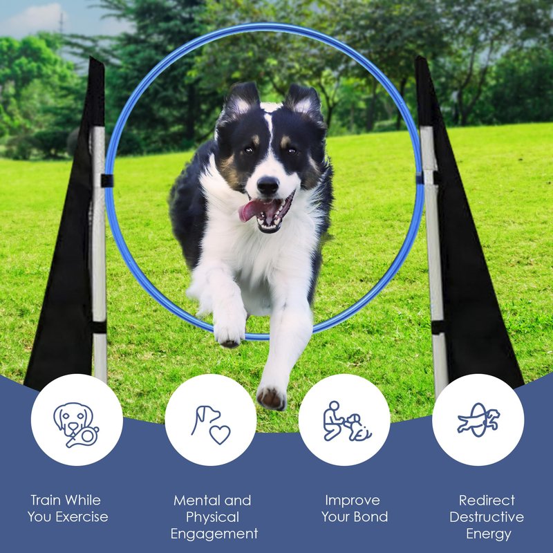 Houseables Dog Agility Course Backyard Set, Dog Agility Equipment, Obstacle Course Backyard, Training and Exercise Equipment, Play Tunnel, Weave Poles, Jumps, Pause Box for Playground, Park, Indoor