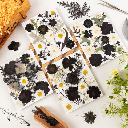 78 Pcs Black and White Dried Pressed Flowers with Tweezer, Halloween Themed Real Dried Flowers Leaves for DIY Crafts Resin Molds, Dried Flowers for Autumn Halloween Decorations