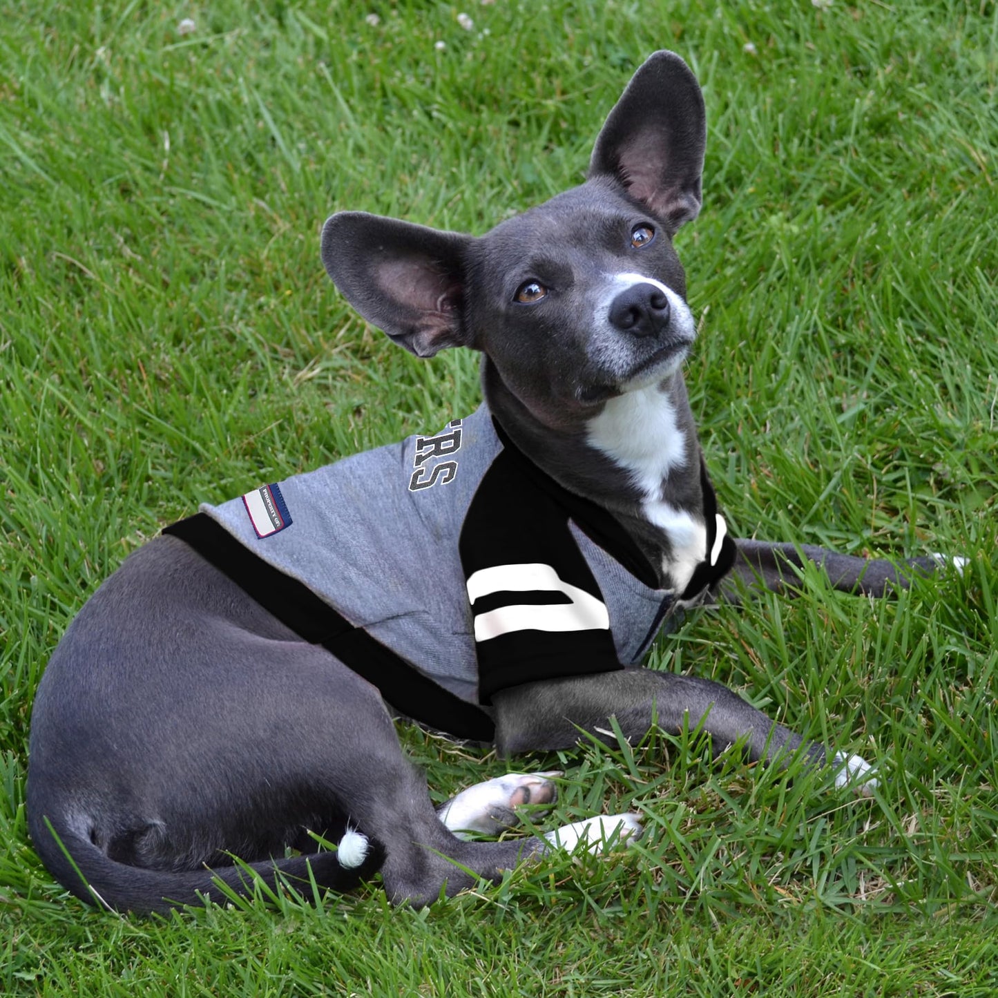Pets First NFL Oakland Raiders Hoodie for Dogs & Cats. | NFL Football Licensed Dog Hoody Tee Shirt, Small| Sports Hoody T-Shirt for Pets | Licensed Sporty Dog Shirt