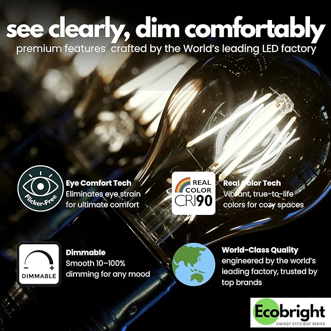 EcoBright 12PK Dimmable A19 LED Filament Bulb, 10W (100W Equivalent), E26 Base, 1100 Lumens, CRI90+, Flicker-Free Clear Glass, Energy Star Title 20, Daylight 5000K